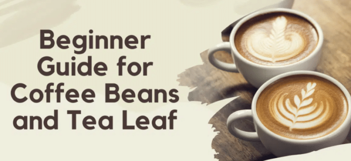 Beginner Guide for Coffee Beans and Tea Leaf